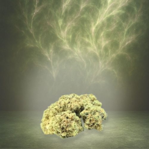 Fleur CBD Critical — indoor, CANNOVA