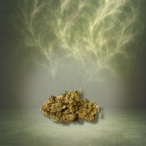 Fleur CBD Orange Bud — outdoor, CANNOVA
