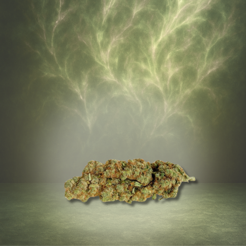Fleur CBD Amnesia — indoor terre, CANNOVA