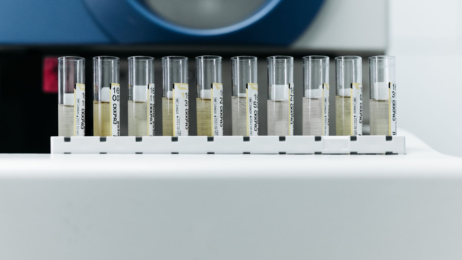 Rangée de tubes d'échantillons étiquetés dans un portoir de laboratoire d'analyse
